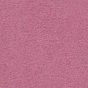 Ковролин Radici Nexus Cassis 8250  | FLOORDEALER